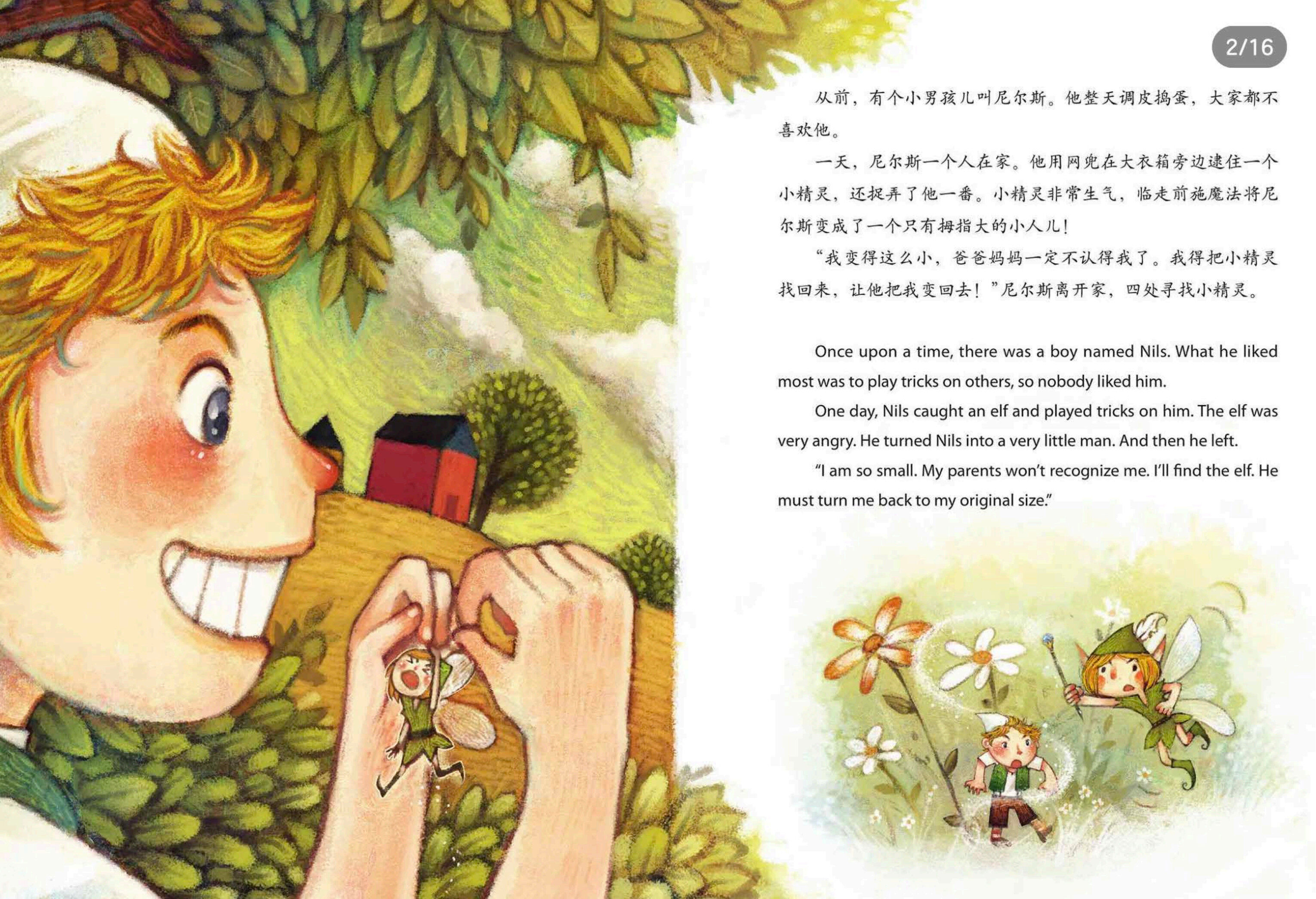 尼尔斯旅行骑鹅记绘本故事第2页
