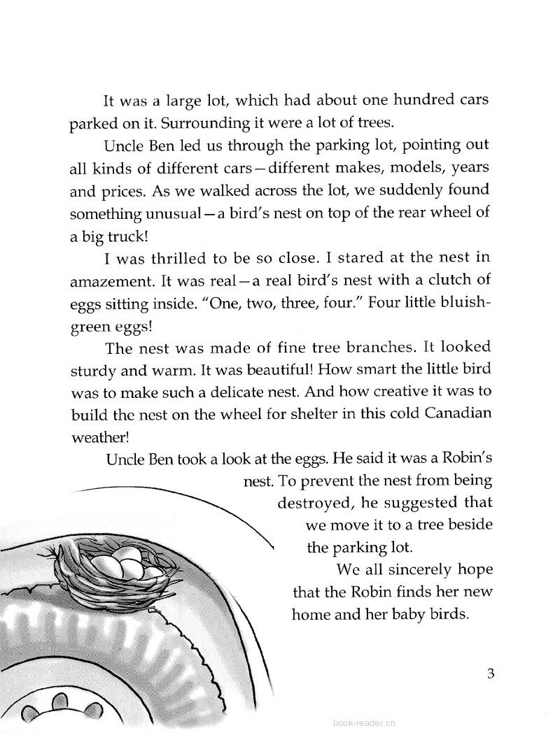 A Bird’s Nest!绘本故事第4页