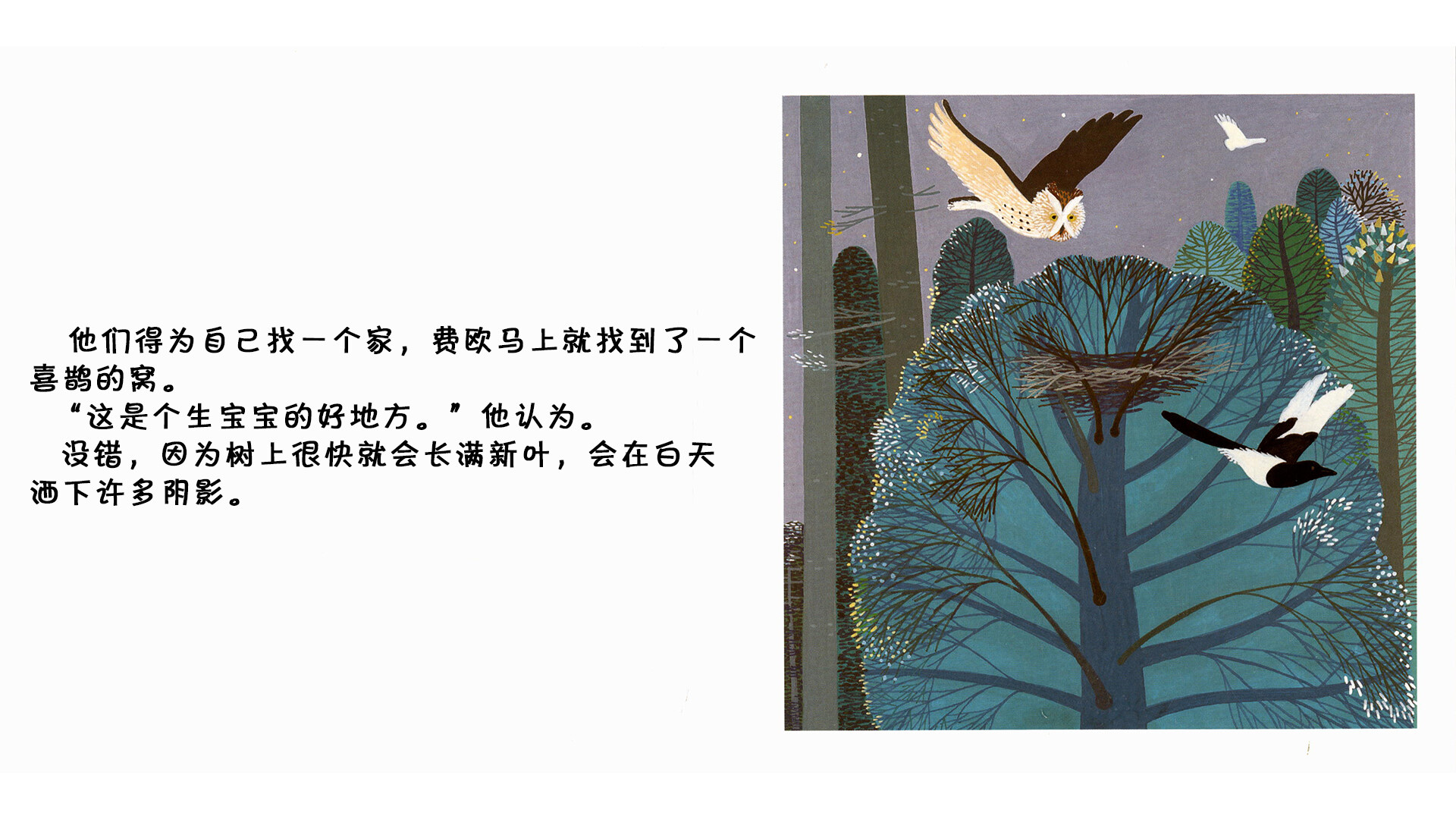 猫头鹰绘本故事第4页