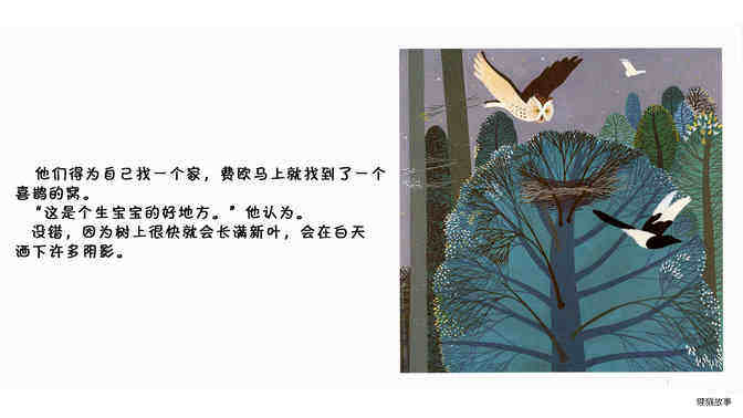 猫头鹰绘本故事第4页