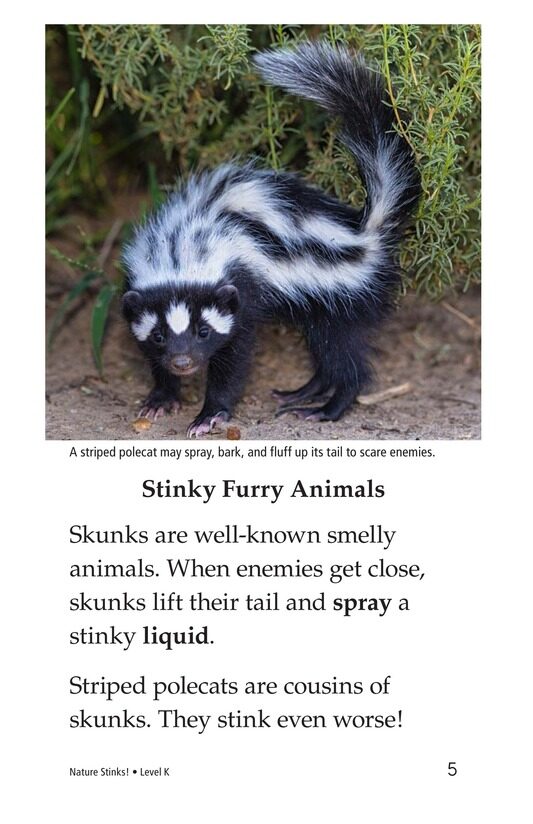 Nature Stinks!绘本故事第4页
