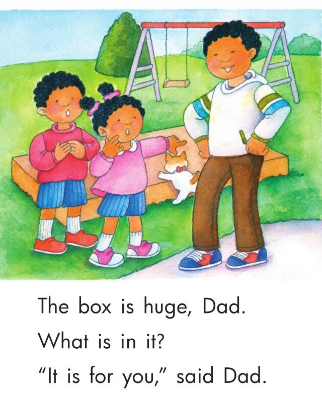 Build a Home绘本故事第4页