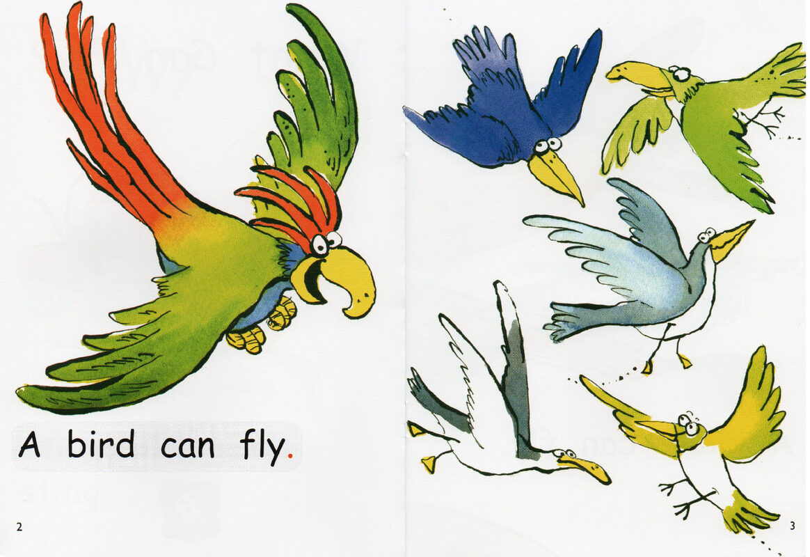 what can fly绘本故事第3页