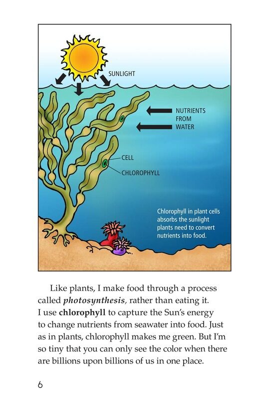 The Amazing Undersea Food Web绘本故事第5页