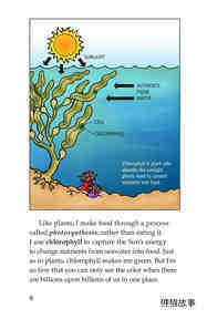 The Amazing Undersea Food Web绘本故事第5页
