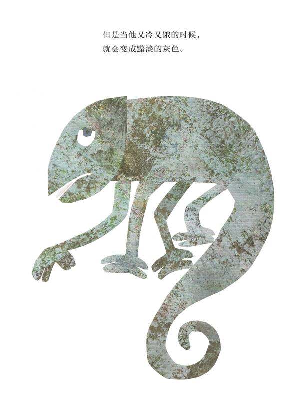 拼拼凑凑的变色龙绘本故事第4页