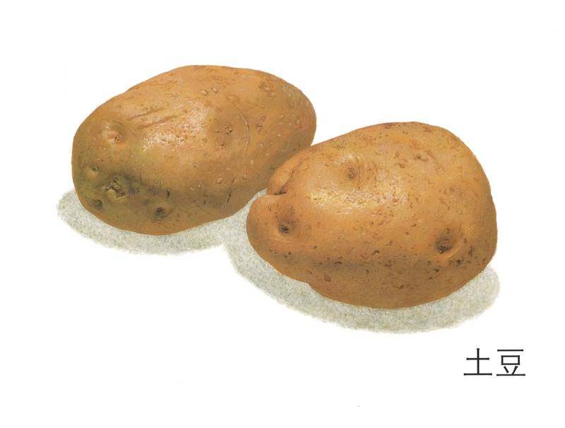 什么好吃什么辣绘本故事第3页