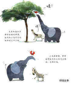 跑得太快的斑马绘本故事第3页