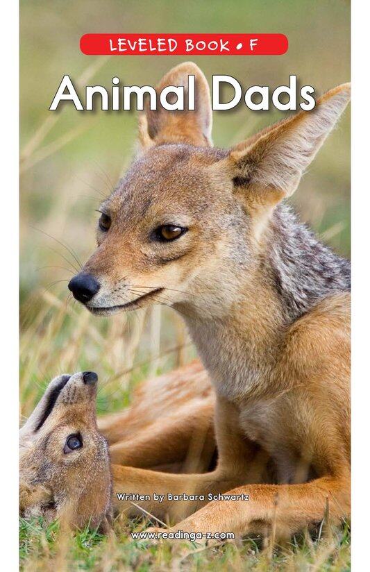 Animal Dads绘本故事第2页
