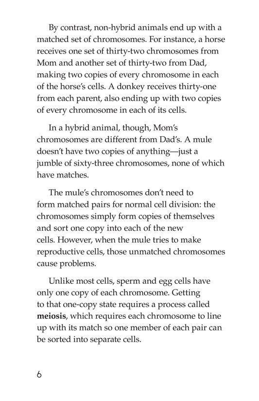 Hybrid Animals绘本故事第5页