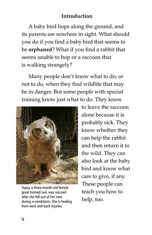 Wildlife Rescue绘本故事第3页