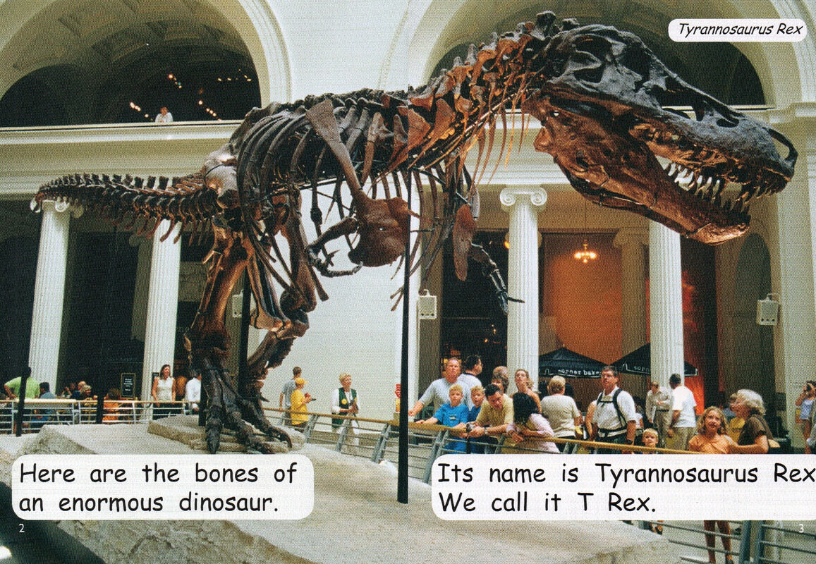 t rex绘本故事第3页