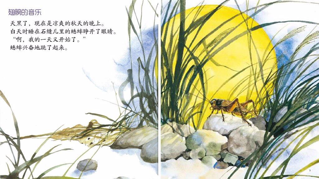 音乐演奏家蟋蟀绘本故事第4页