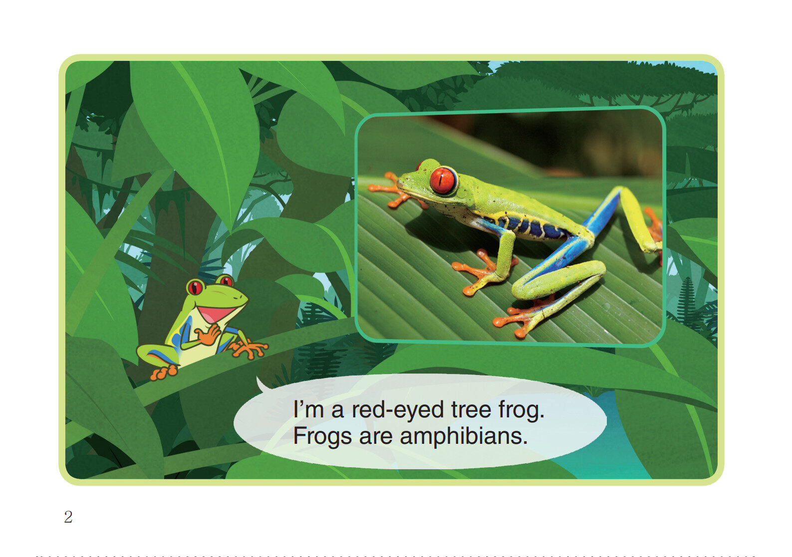 Red-Eyed Tree Frog绘本故事第3页