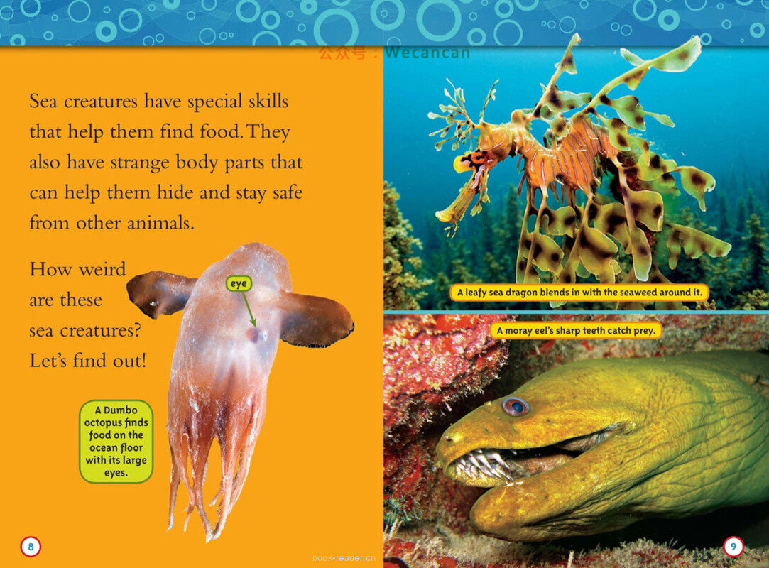 Weird Sea Creatures绘本故事第5页