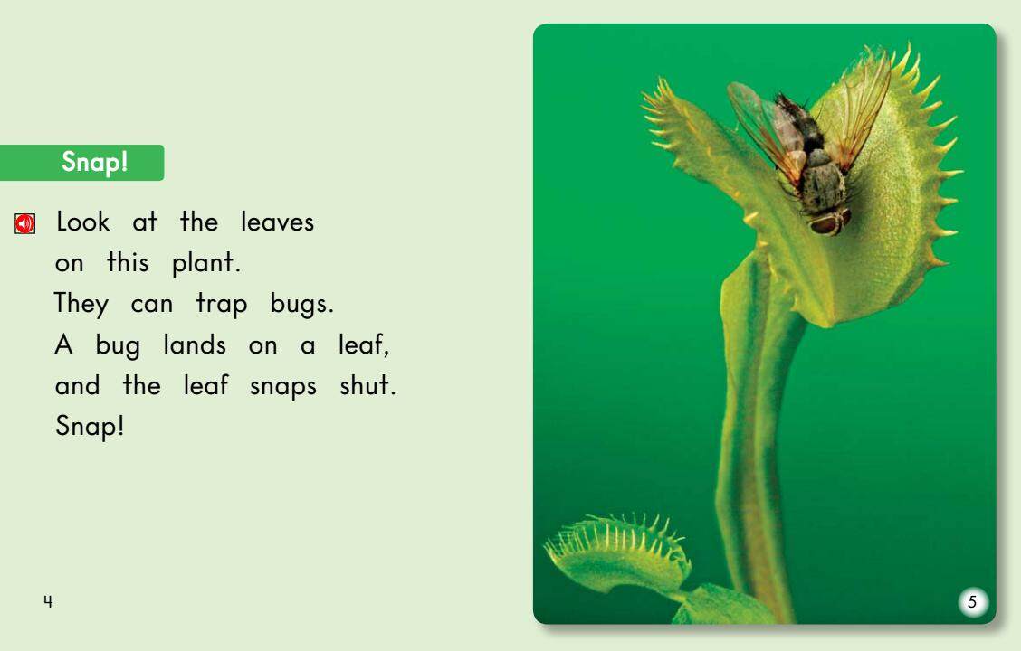 Plants That Eat Bugs绘本故事第4页