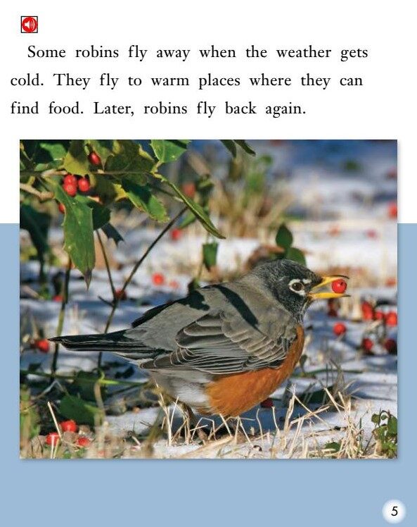 Animals with Wings绘本故事第5页