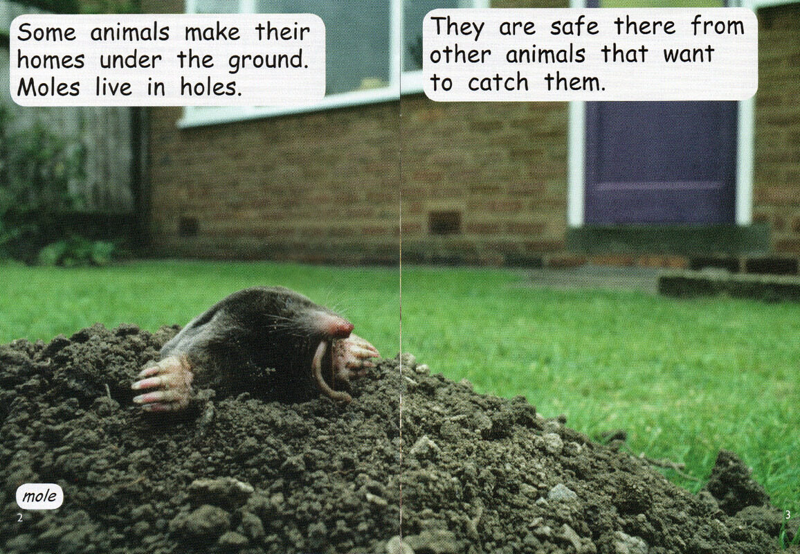 living underground绘本故事第3页