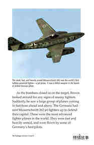 The Tuskegee Airmen绘本故事第4页