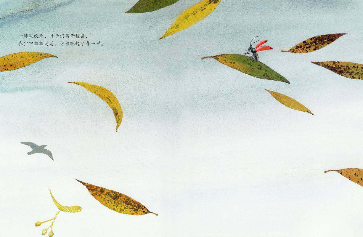 绘本花园：风中的树叶绘本故事第3页