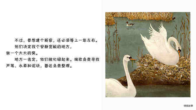 天鹅   绘本故事第4页