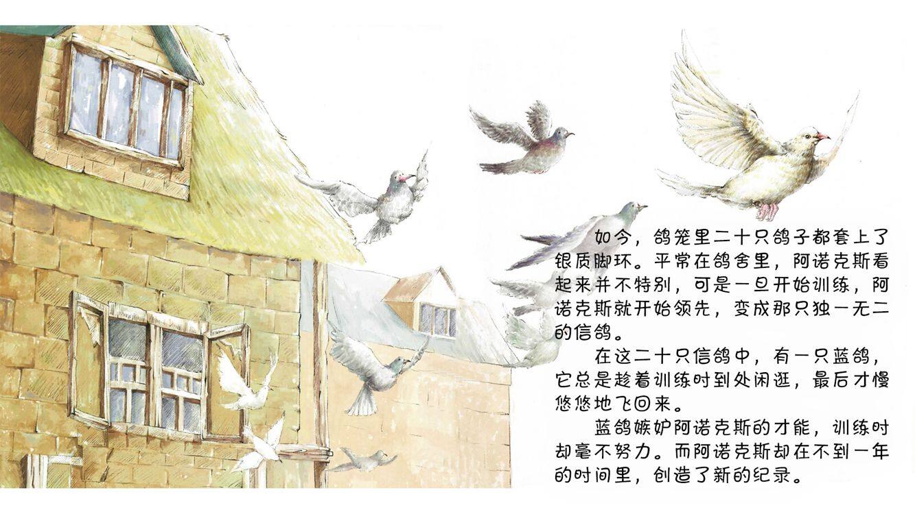 令人敬佩的信鸽绘本故事第5页