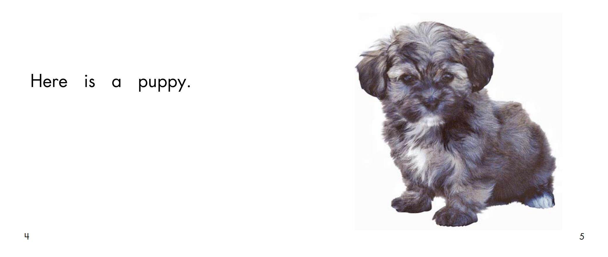 The pet store绘本故事第4页