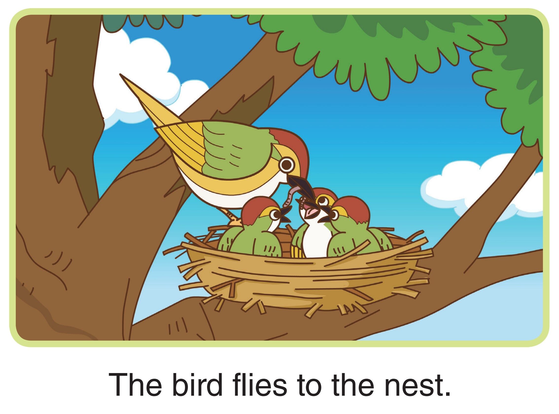 Things That Fly绘本故事第5页