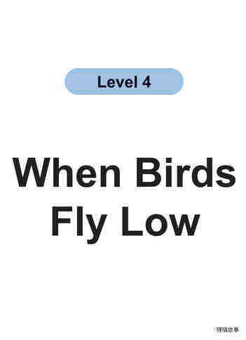 When Birds绘本故事第2页
