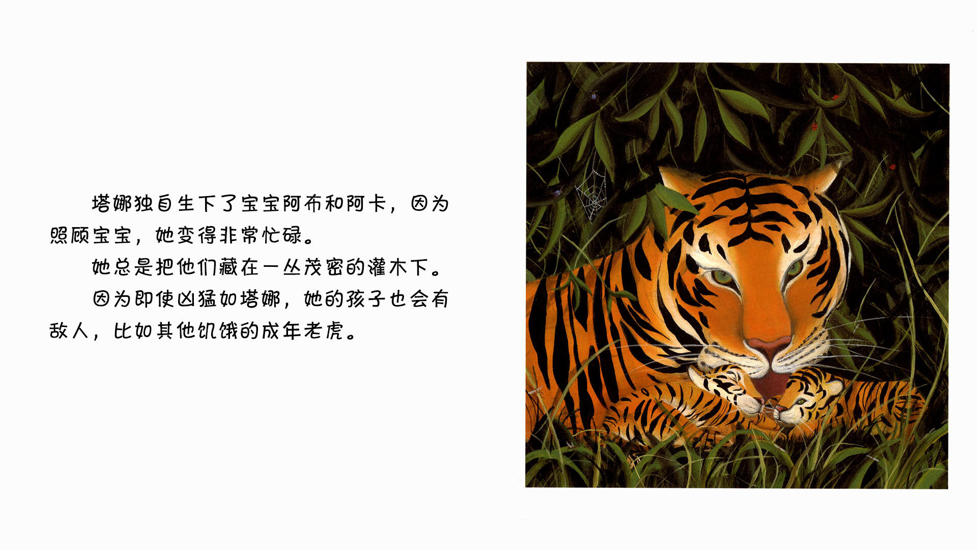 老虎   绘本故事第5页