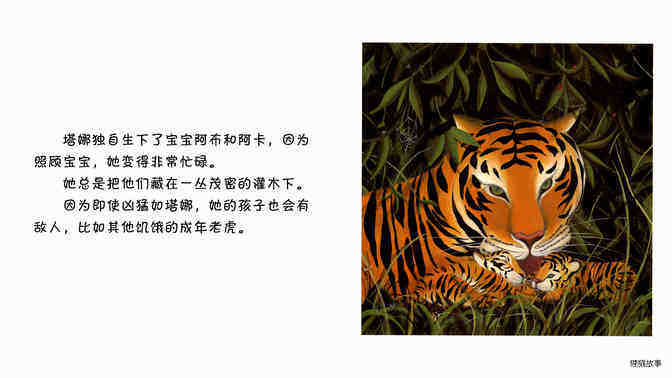 老虎   绘本故事第5页