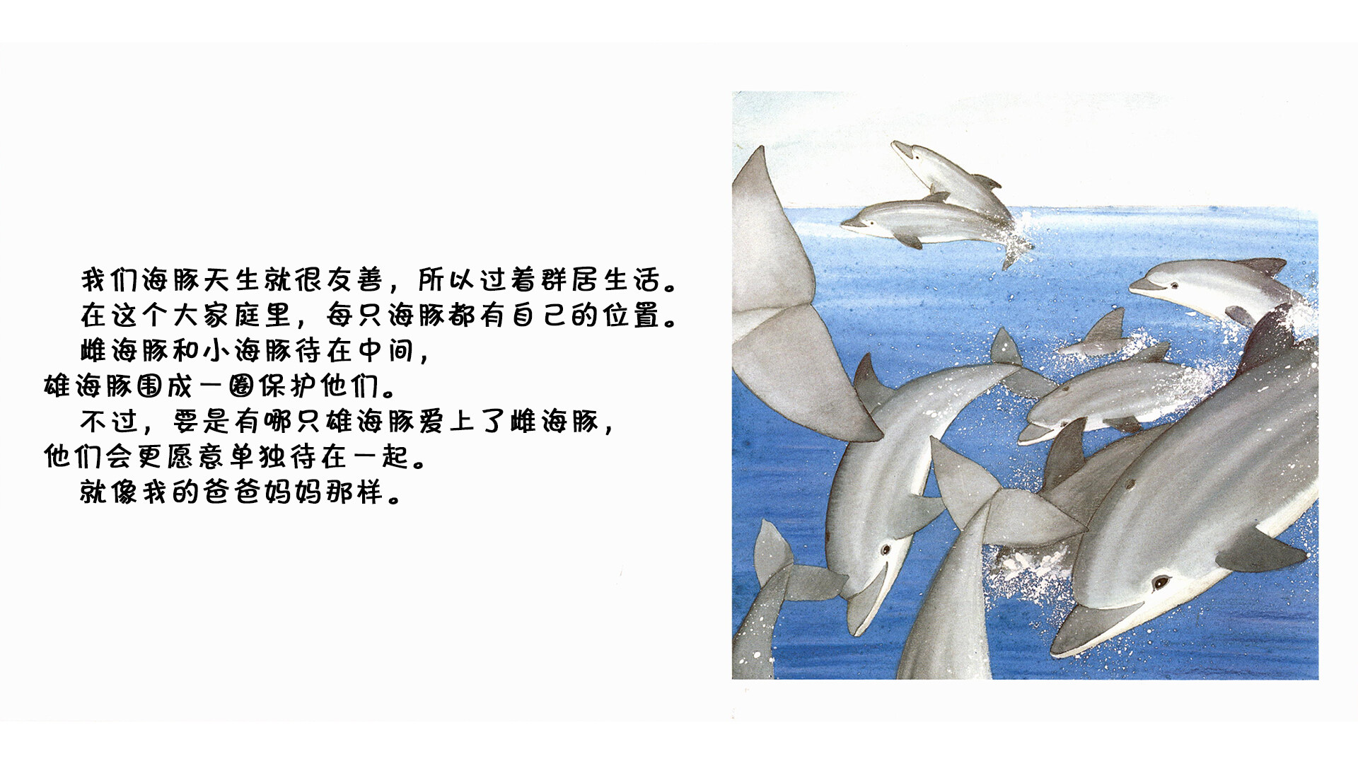 海豚绘本故事第3页