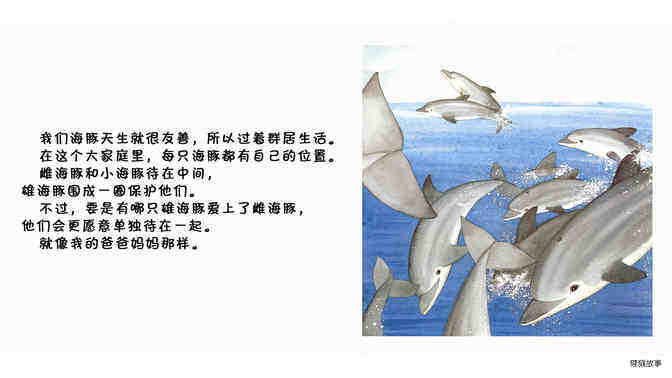 海豚绘本故事第3页
