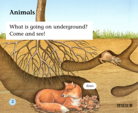 What's Underground绘本故事第3页