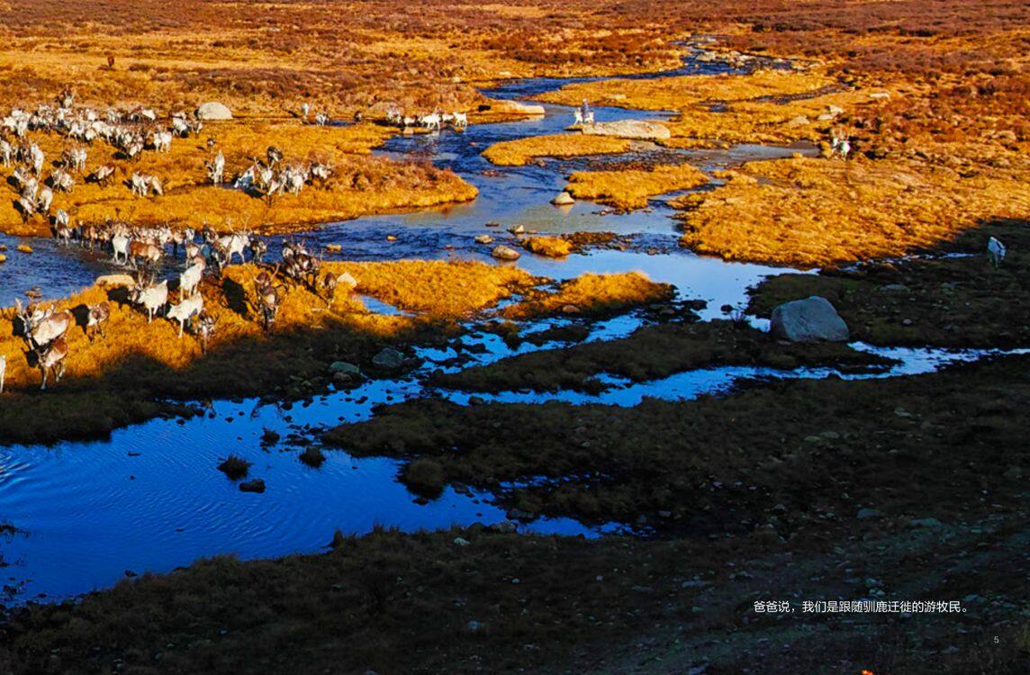 驯鹿人的孩子绘本故事第5页
