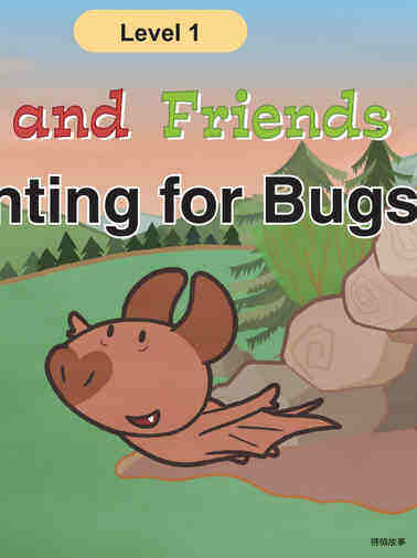 Hunting for Bugs