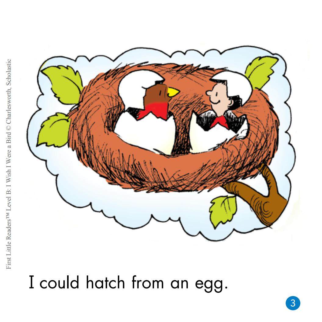 I Wish I Were a Bird绘本故事第4页