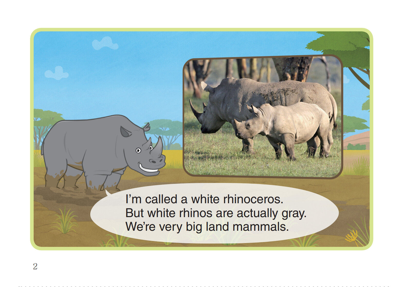 White Rhinoceros绘本故事第3页