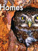 Homes