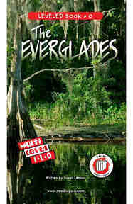 The Everglades