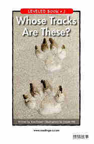 Whose Tracks Are These