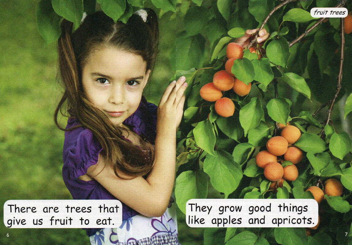 good things from trees绘本故事第5页