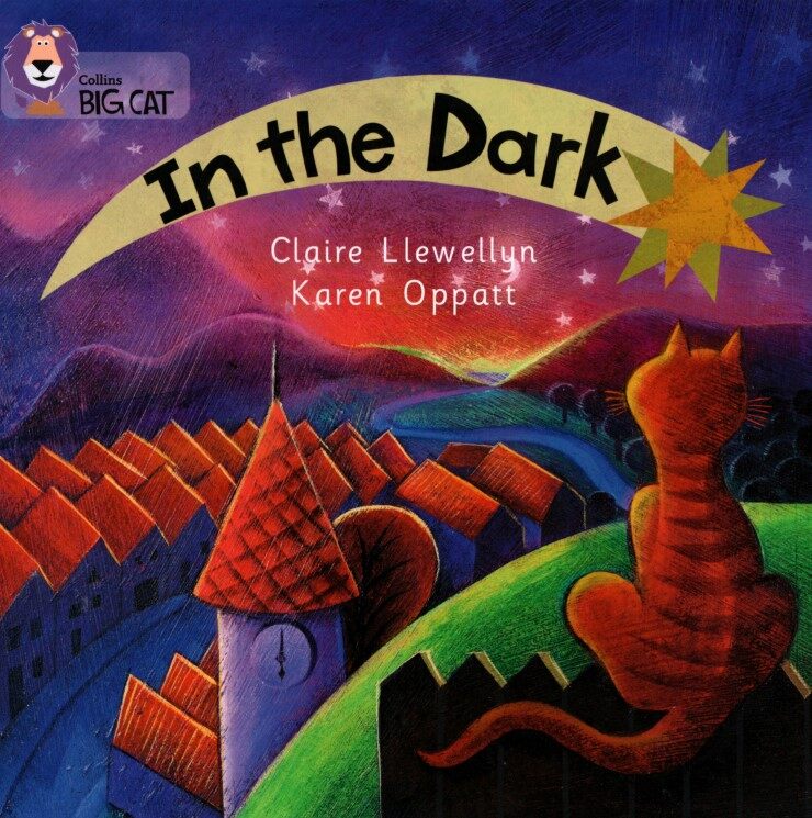 In the Dark绘本故事第2页