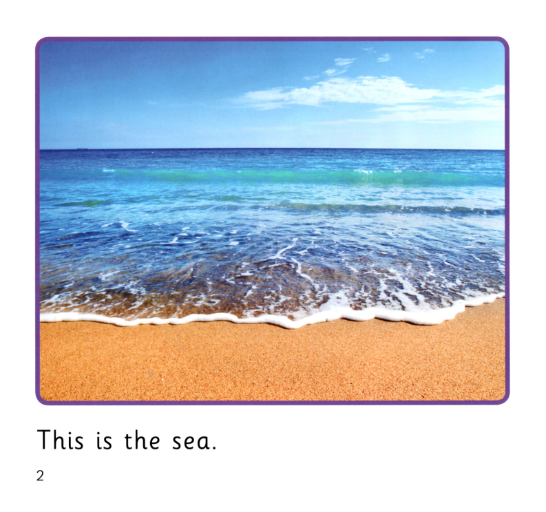 In the Sea绘本故事第3页