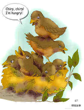A Family of Birds-1绘本故事第3页