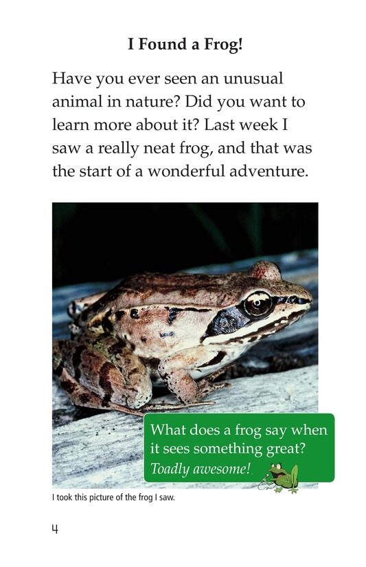 Frogs and Toads绘本故事第3页