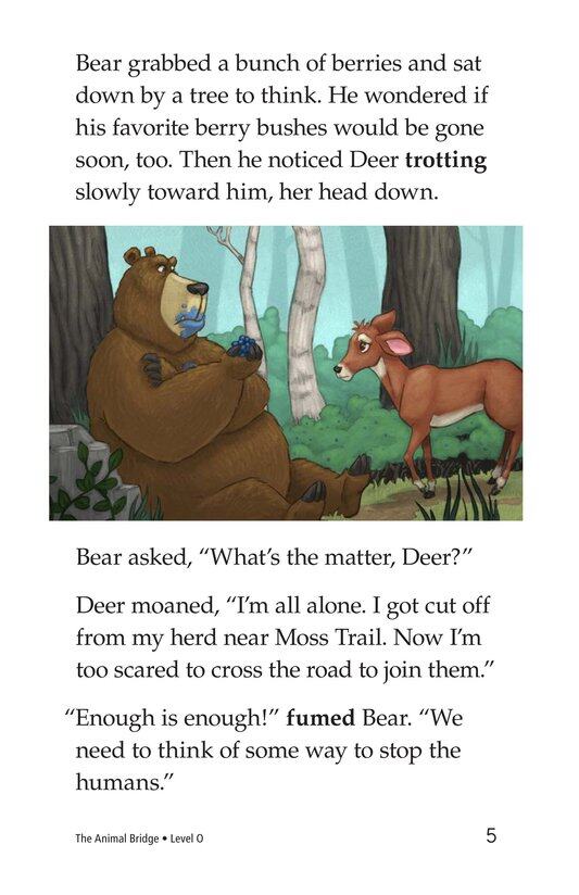 The Animal Bridge绘本故事第5页