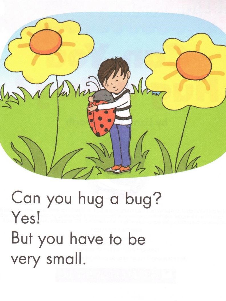 Can You Hug a Bug绘本故事第2页