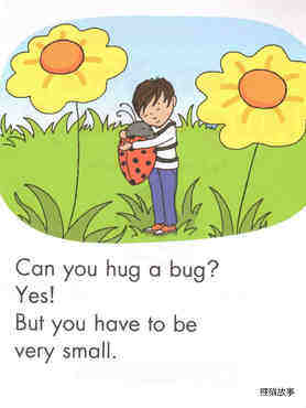 Can You Hug a Bug绘本故事第2页