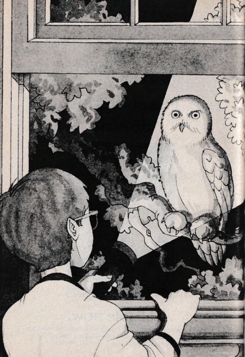 01 Are You Serious?绘本故事第3页